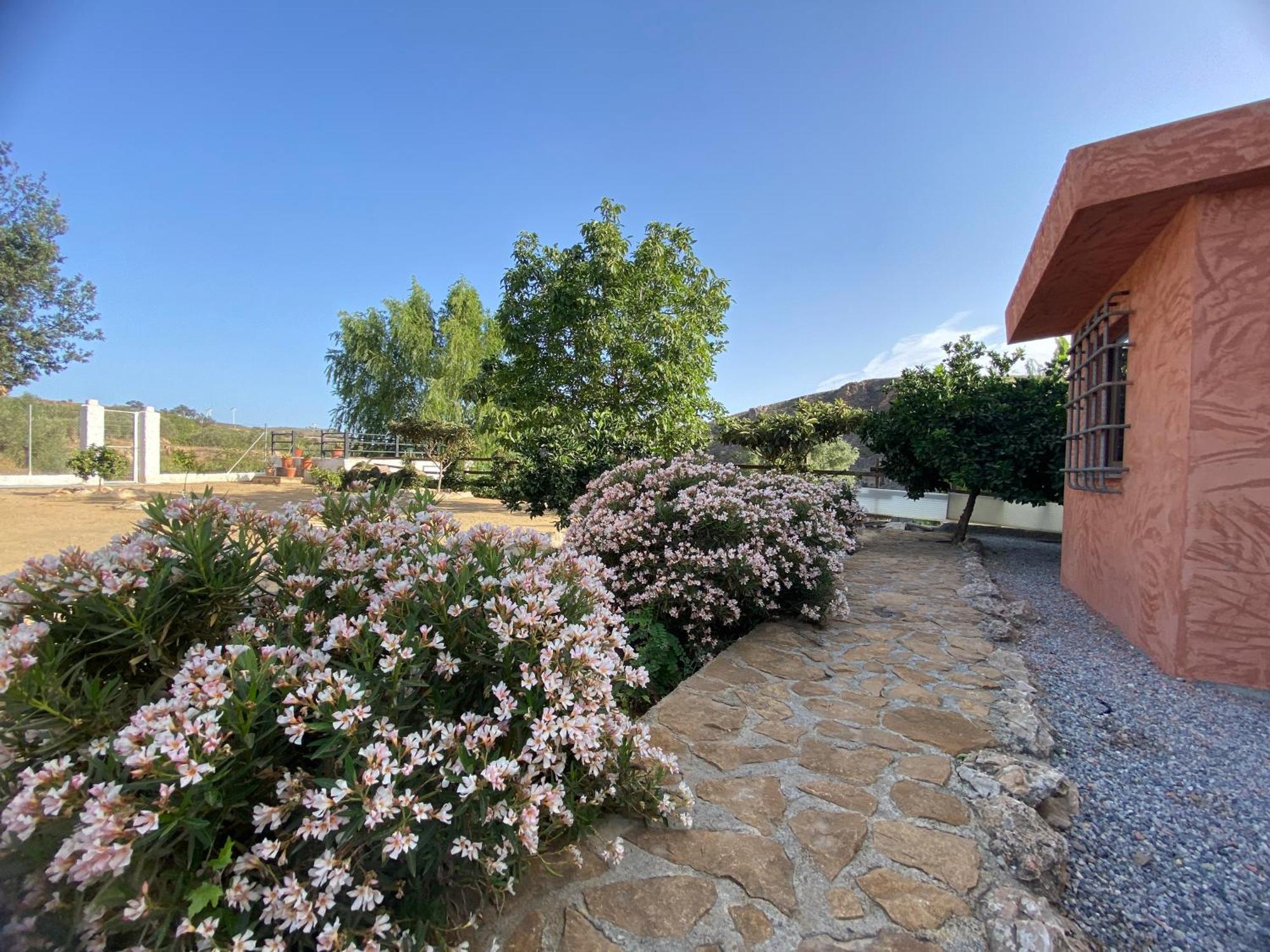 Villa Elisabeth Granada Esterno foto